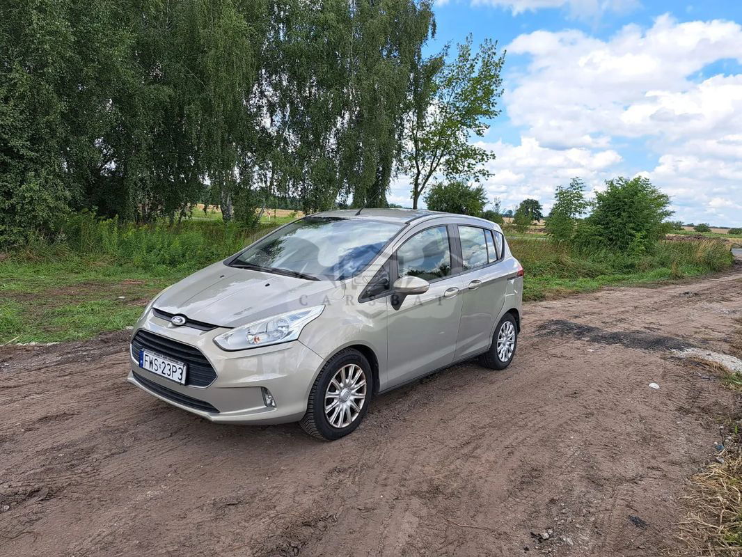 Ford B-Max 2013