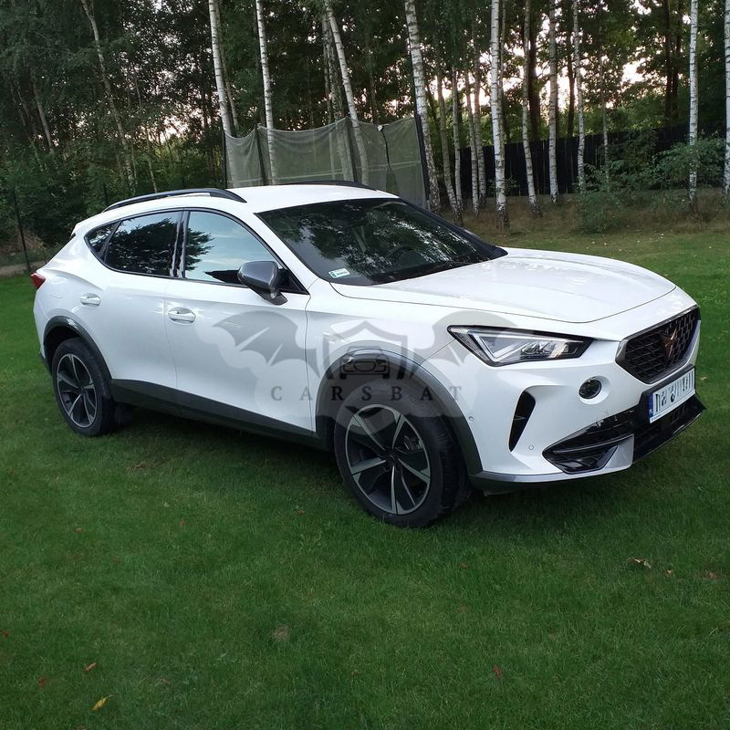 Cupra Formentor 2.0 TSI 4Drive DSG 2021