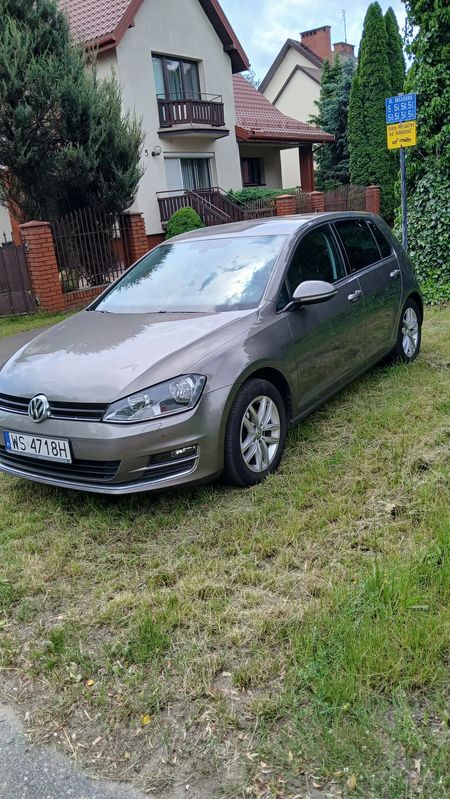 Volkswagen Golf VII 1.4 TSI BlueMotion Technology Allstar 2016