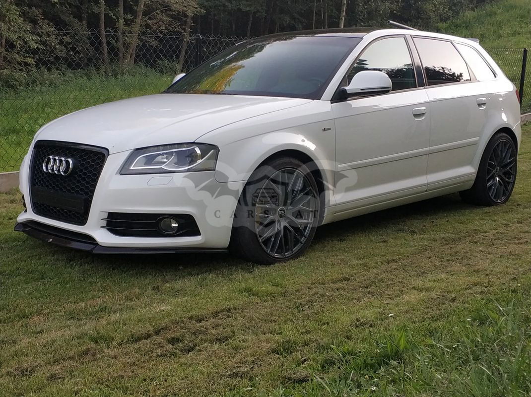 Audi A3 8P 2.0 TDI DPF Quattro Ambiente 2009