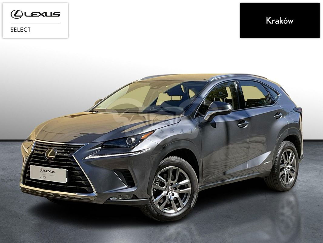 Lexus NX I 300h Business Edition AWD 2020