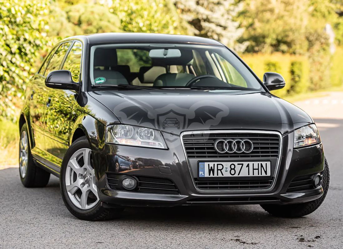 Audi A3 8P 2009