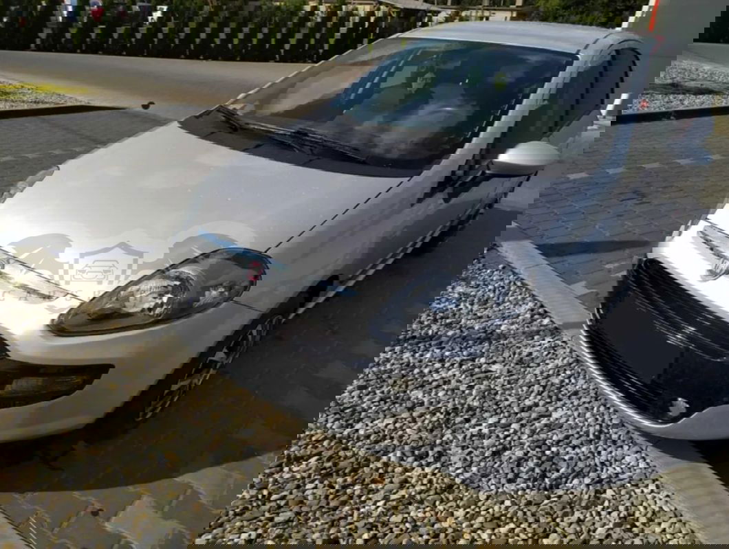 Fiat Punto 2011