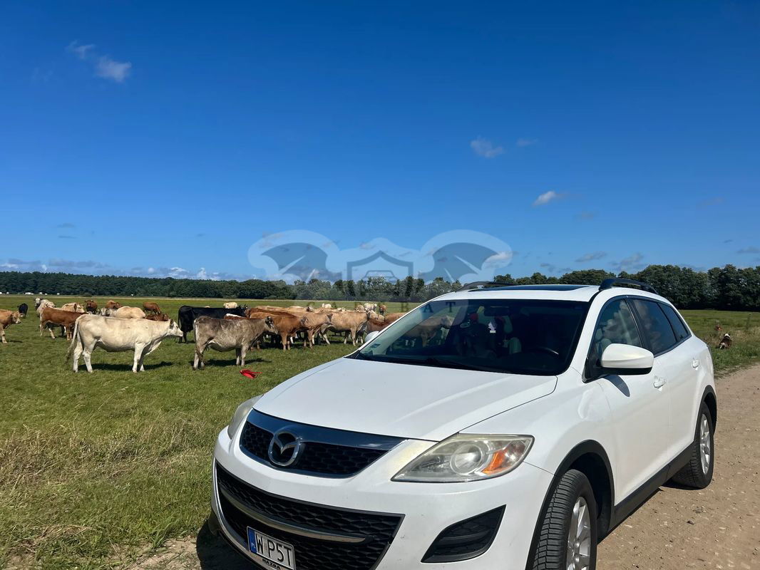 Mazda CX-9 3.7 V6 Sport 2012