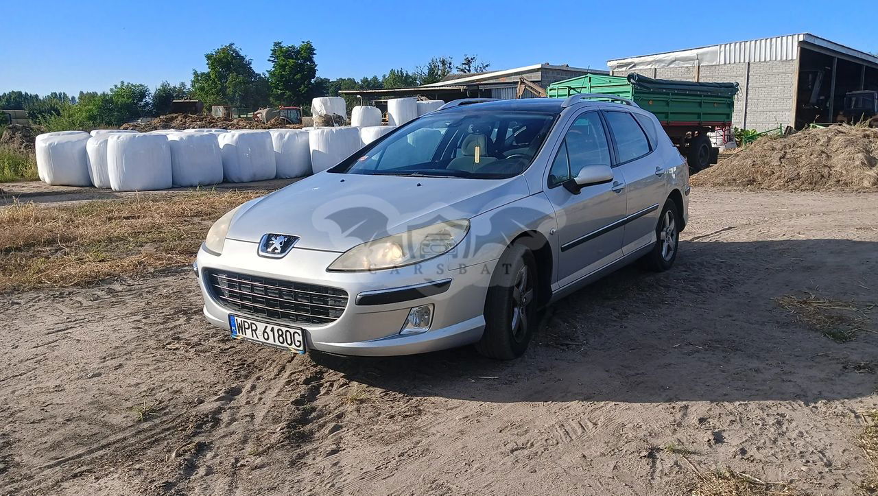 Peugeot 407 SW 140 2007