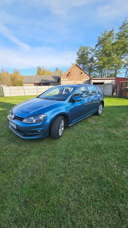 Volkswagen Golf VII VII 1.6 TDI BlueMotion Trendline 2016