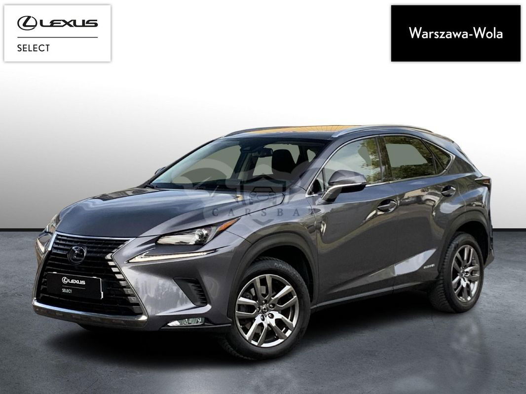 Lexus NX I 300h Business Edition AWD 2021