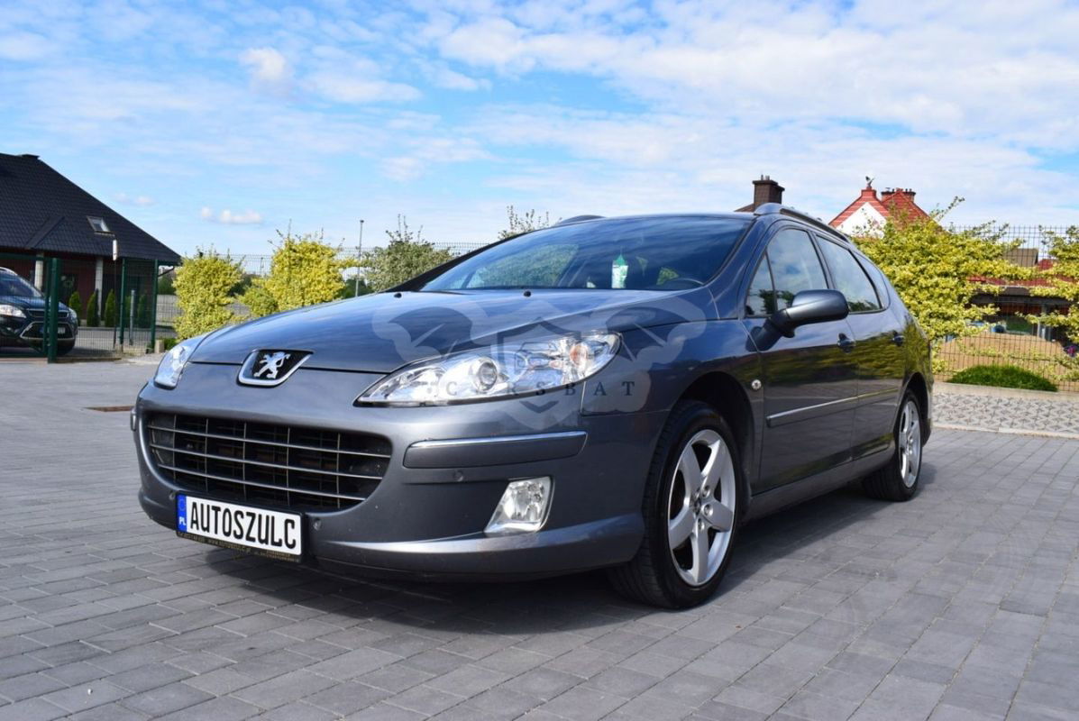 Peugeot 407 2009
