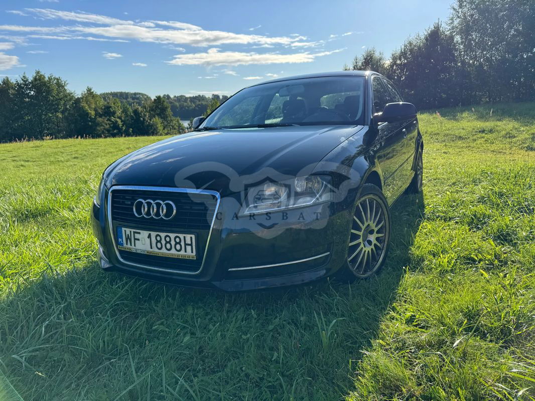 Audi A3 8P 2010