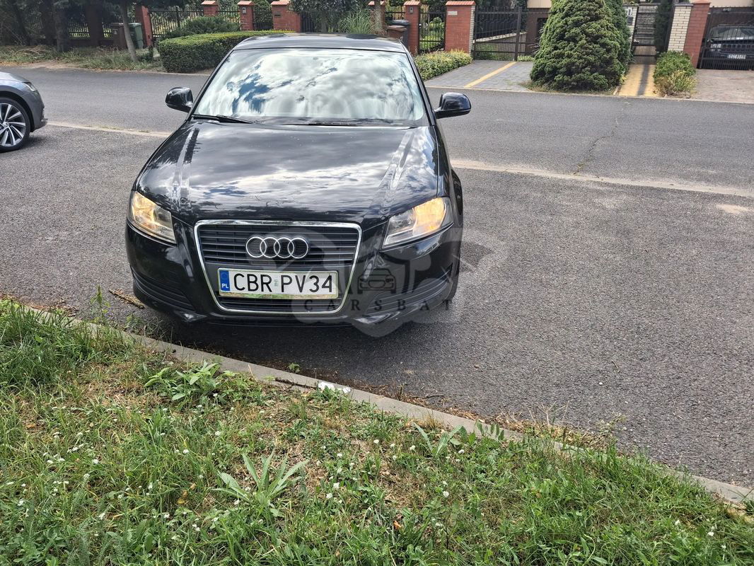 Audi A3 8P 1.6 Ambition 2009