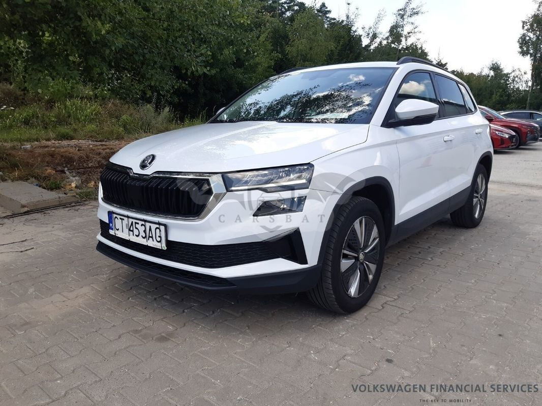 Skoda Karoq 2.0 TDI SCR 4x4 Ambition DSG 2022
