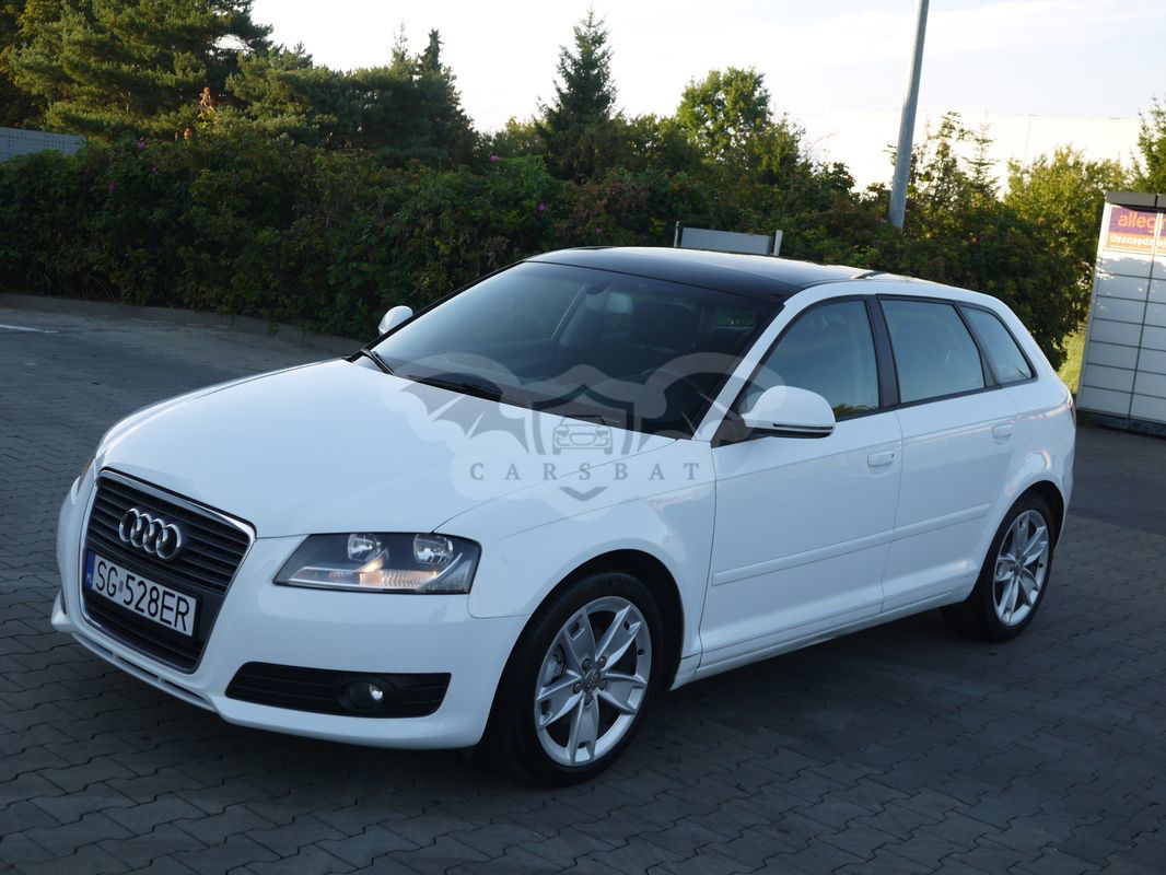 Audi A3 8P 2.0 TDI Ambition 2010
