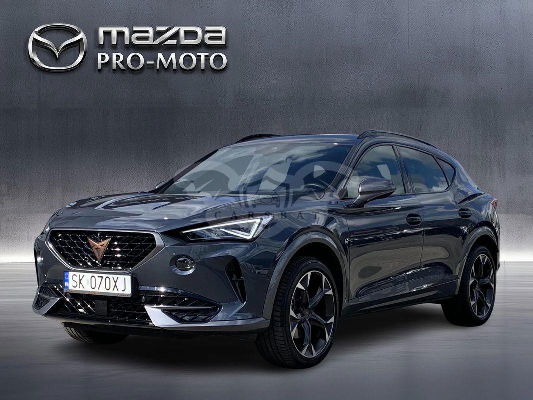 Cupra Formentor 2.0 TSI 4Drive DSG 2023