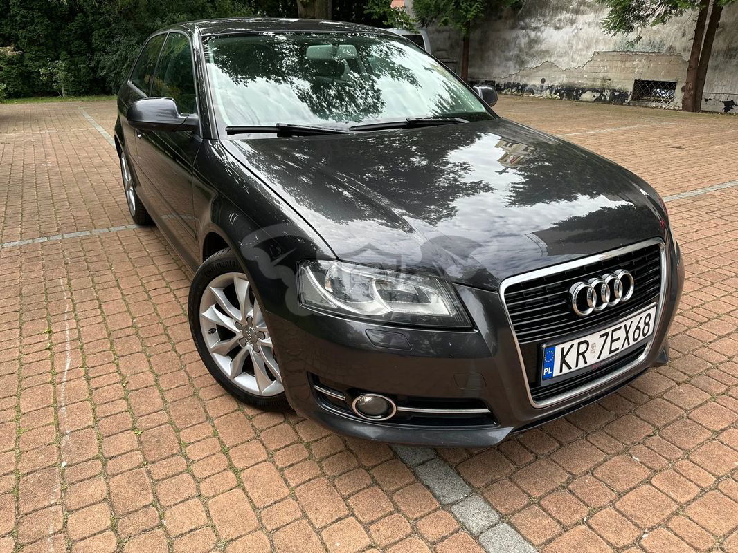 Audi A3 8P 2.0 TDI DPF Ambiente 2010