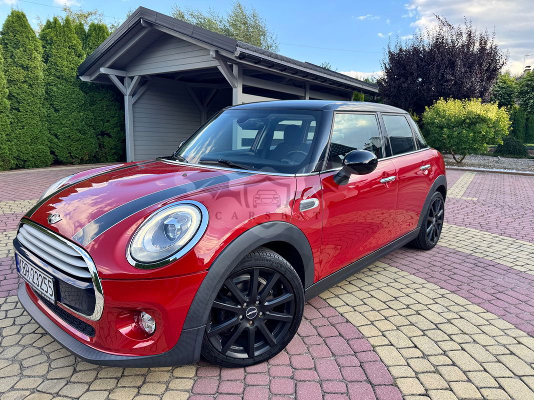 Mini Cooper Resolute Edition 2014