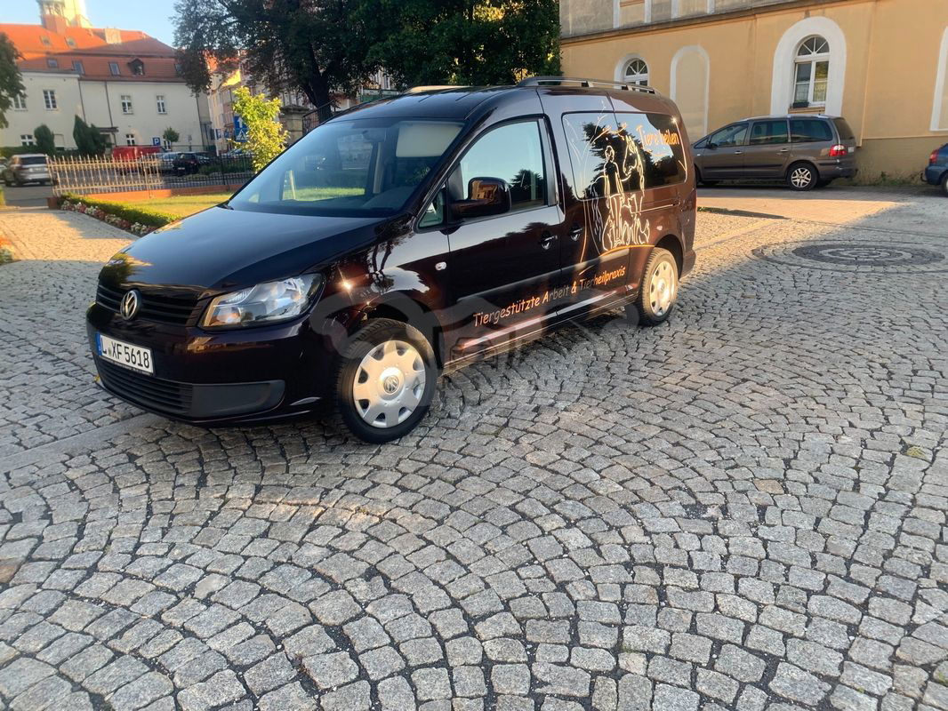 Volkswagen Caddy III 1.2 (7-Si.) Edition 30 2012