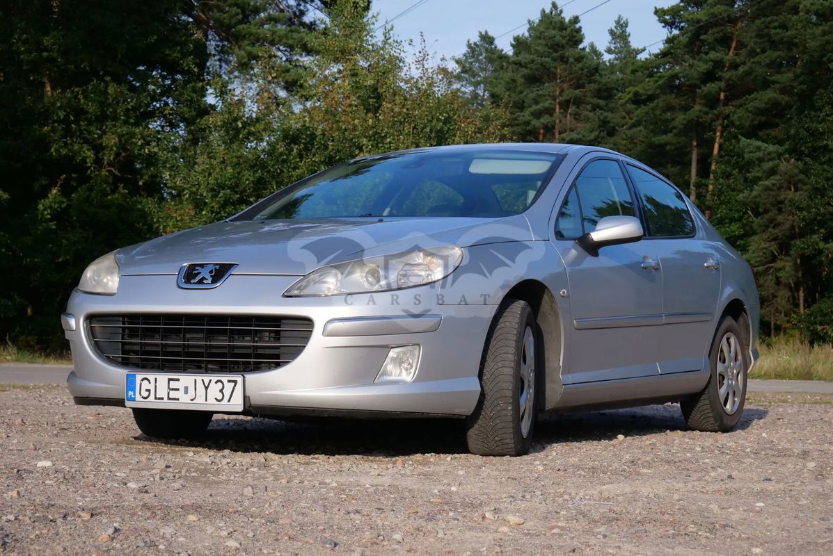 Peugeot 407 2007