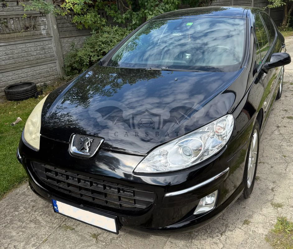 Peugeot 407 2.0 HDI Platinum 2009