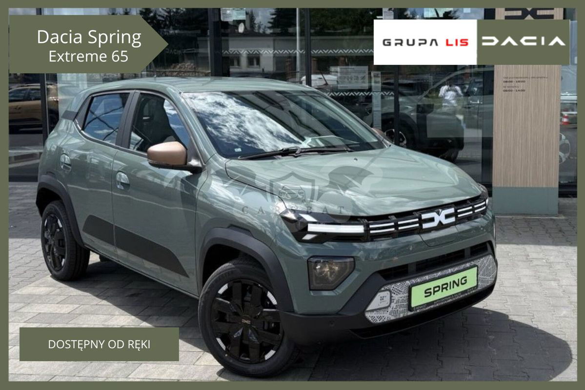 Dacia Spring 2025
