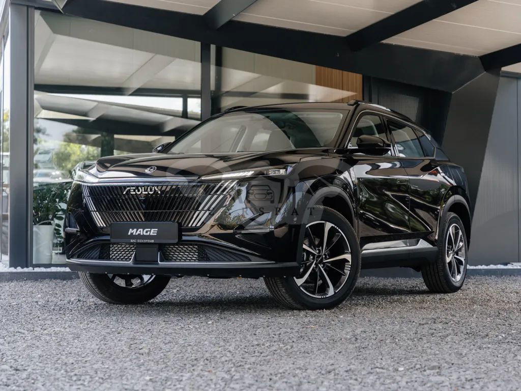 Dongfeng Mage 1.5T MachPower 2024