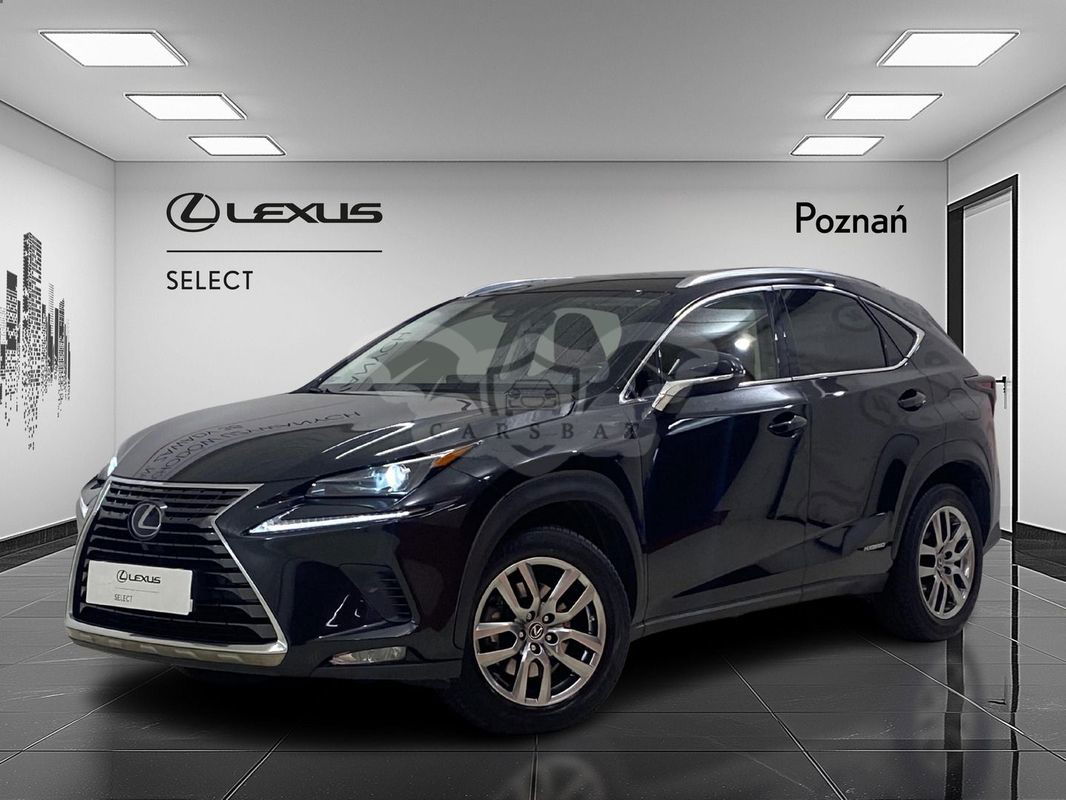Lexus NX I 2019