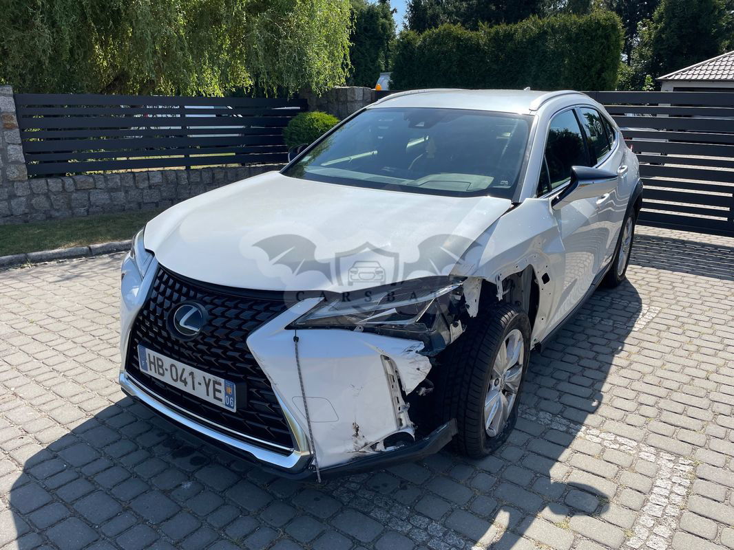 Lexus UX 250h GPF Prestige 2WD 2020