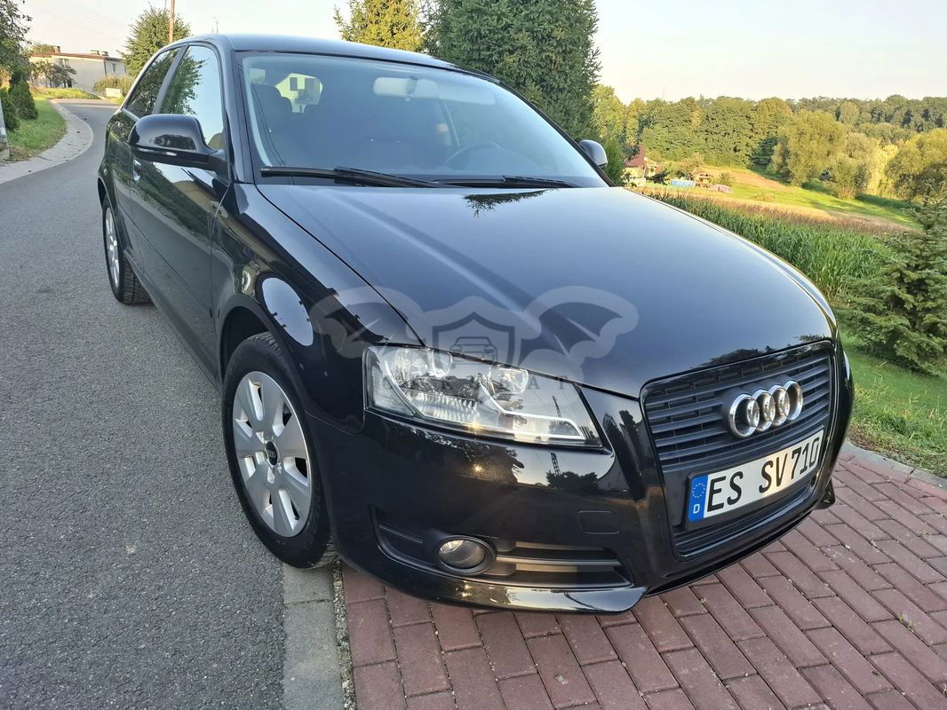 Audi A3 8P 1.6 Ambition 2010