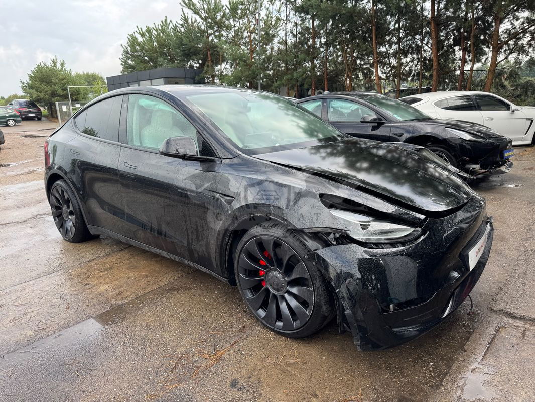 Tesla Model Y Model Performance Dual Motor AWD 2024