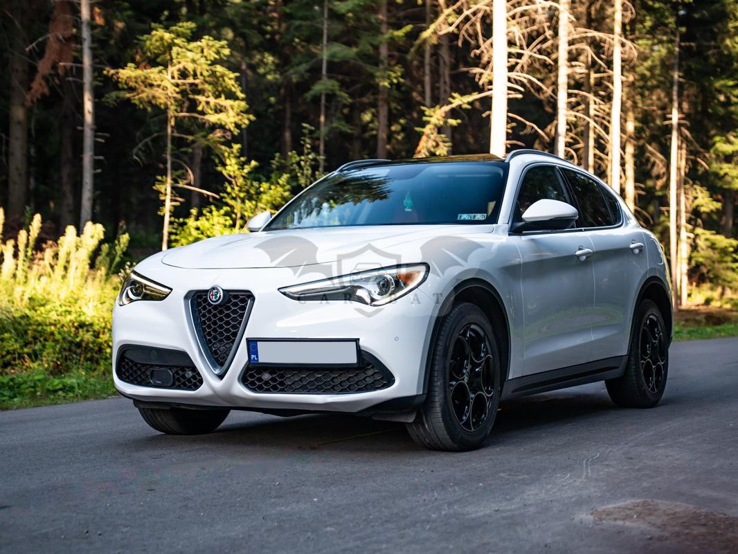 Alfa Romeo Stelvio 2.0 Turbo Executive Q4 2018