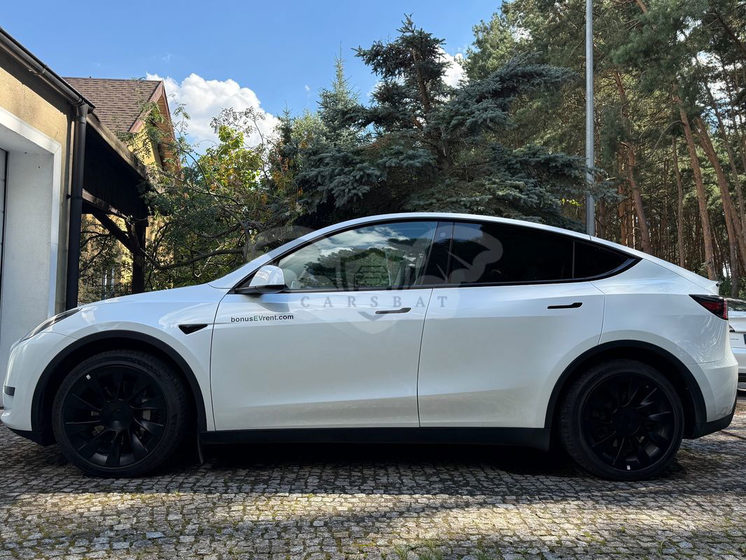 Tesla Model Y RWD 2023