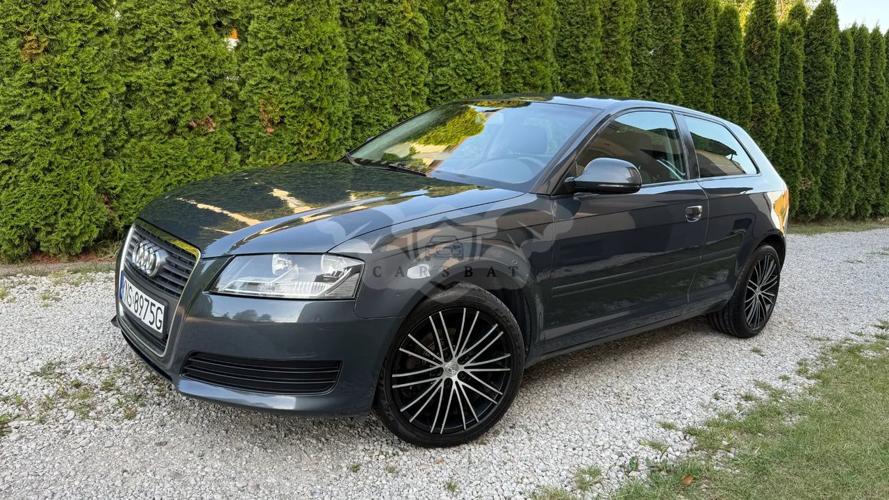 Audi A3 8P 1.9 TDI Ambition 2009