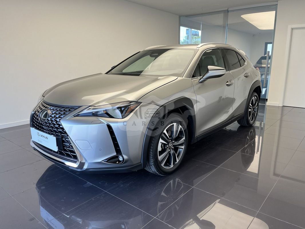 Lexus UX 300h Business 2024