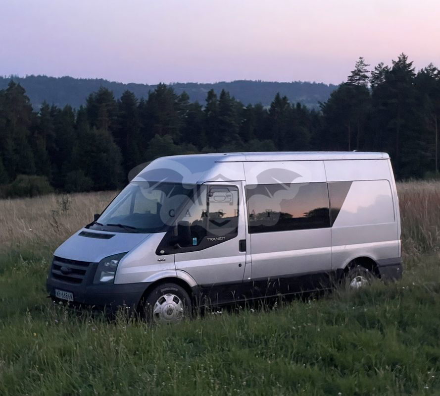 Ford Transit 2009
