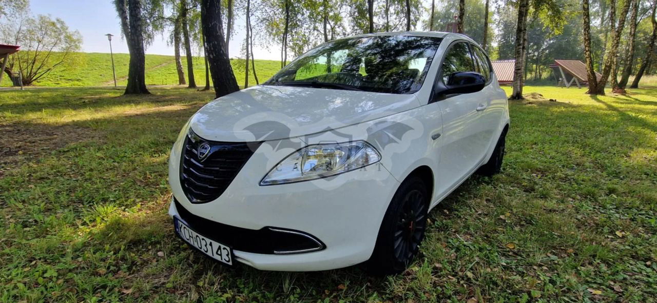 Lancia Ypsilon 1.2 8V Elefantino S&S 2014