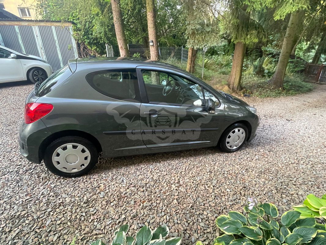 Peugeot 207 1.4 16V Trendy 2007