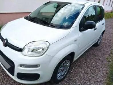 Fiat Panda III 1.2 Easy 2021