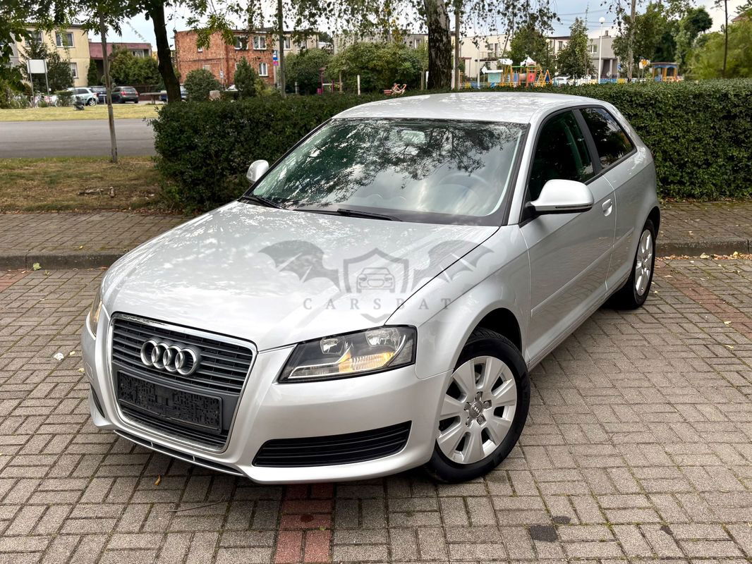 Audi A3 8P 1.6 Ambition 2010