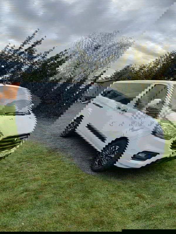 Ford Transit 290 L2H1 Trend 2018
