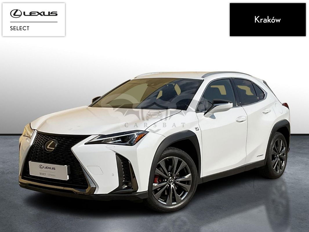 Lexus UX 250h GPF F Sport Edition AWD 2020