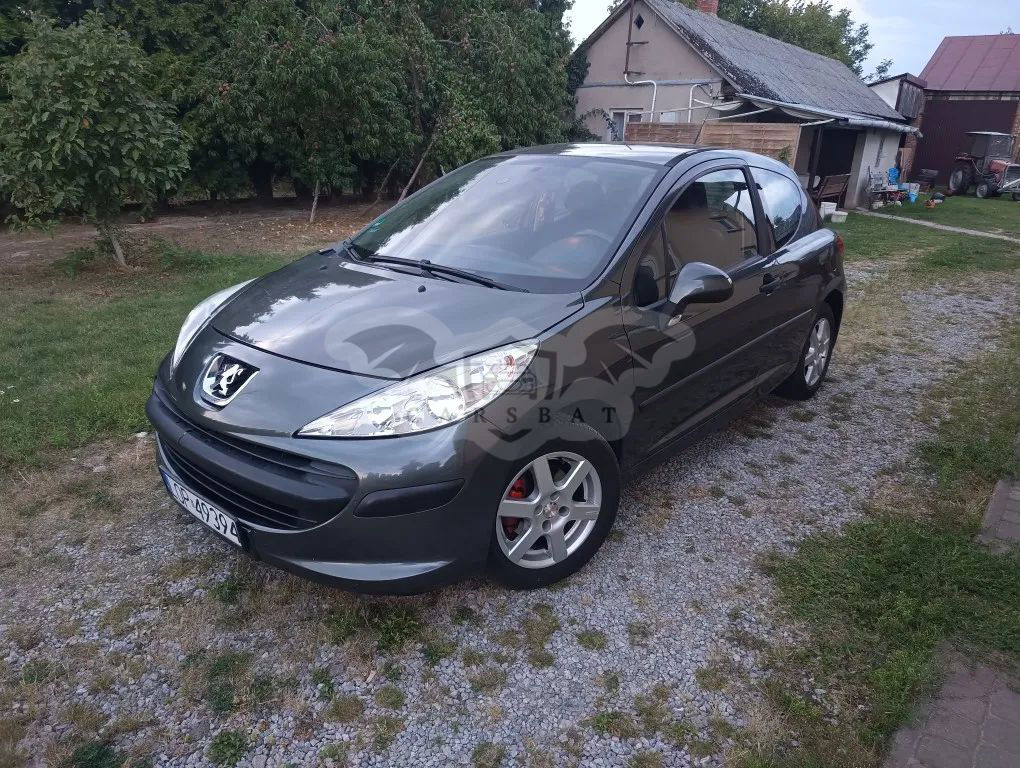 Peugeot 207 1.4 Presence 2007