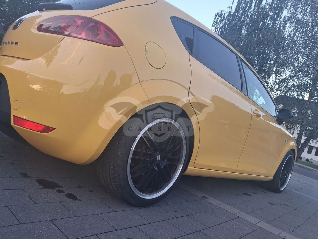 Seat Leon II 2.0 TSI Cupra 2007