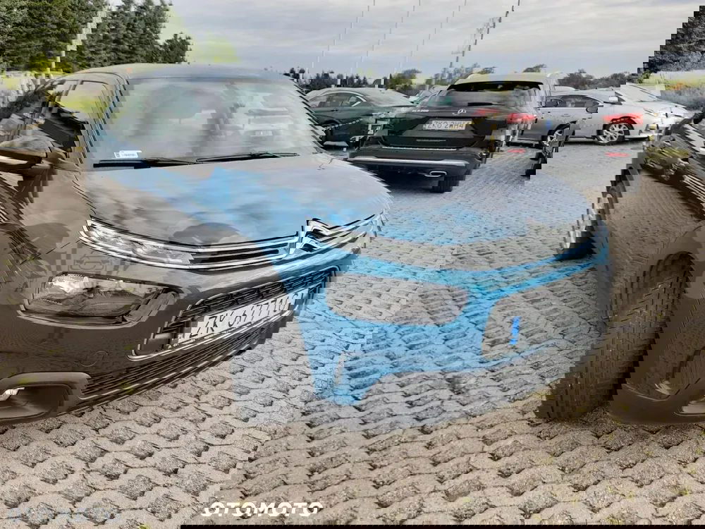 Citroën C4 Cactus 1.2 PureTech GPF Feel 2019