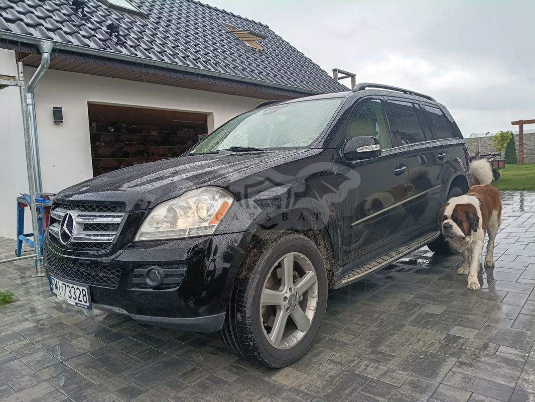 Mercedes-Benz GL X164 320 CDI 4Matic 7G-TRONIC 2008