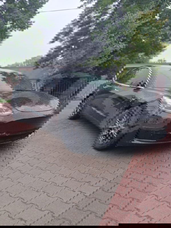 Tesla Model 3 Standard Reichweite Plus Hinterradantrieb 2019