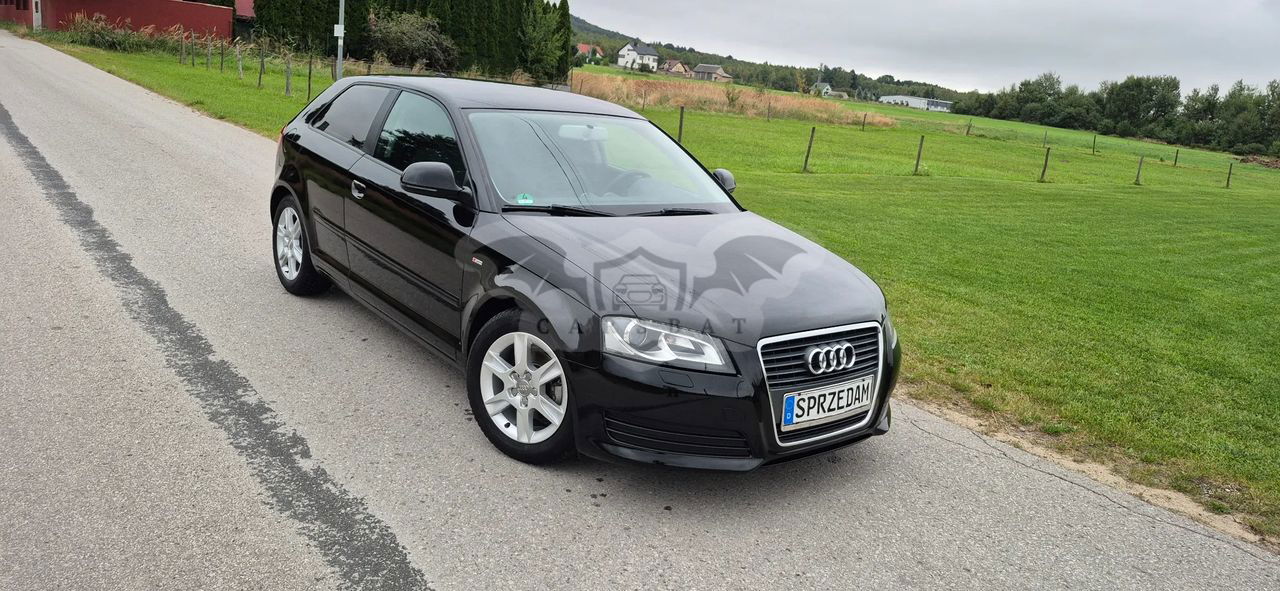 Audi A3 8P 1.6 S line Sportpaket (plus) 2010
