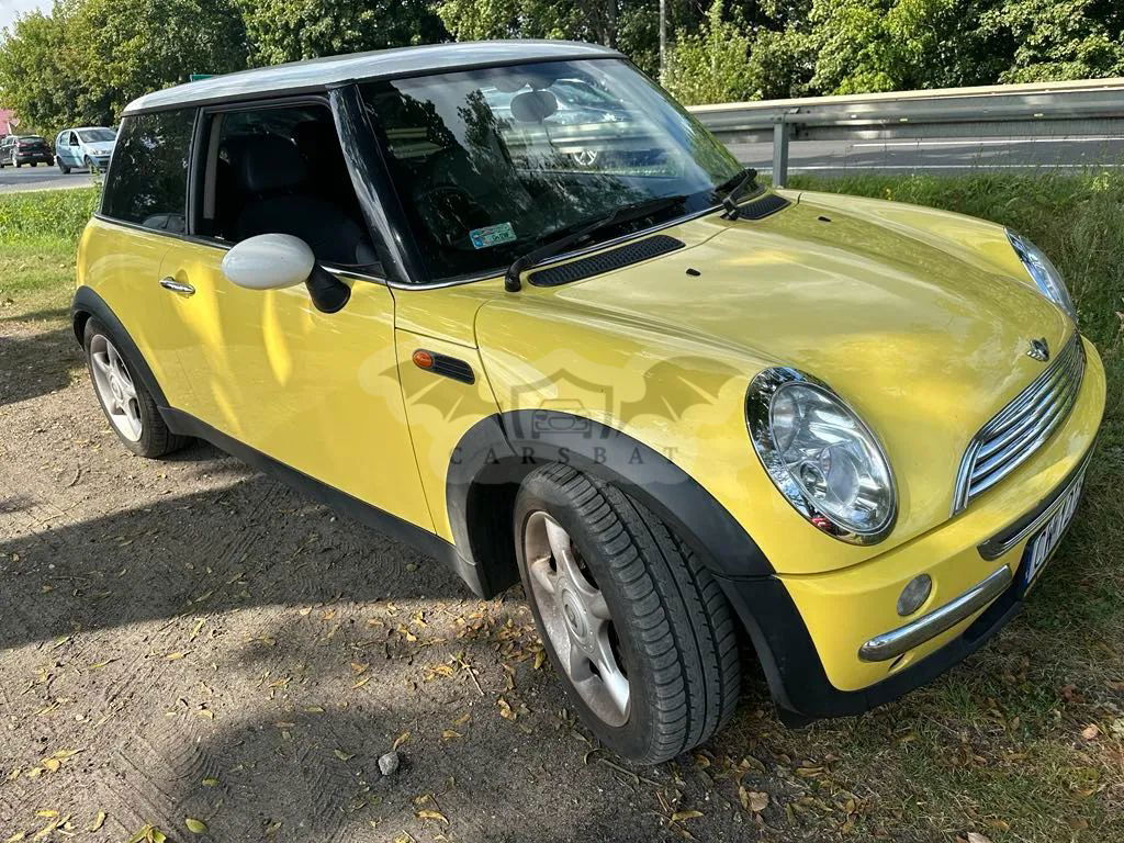 Mini Cooper pepper 2004
