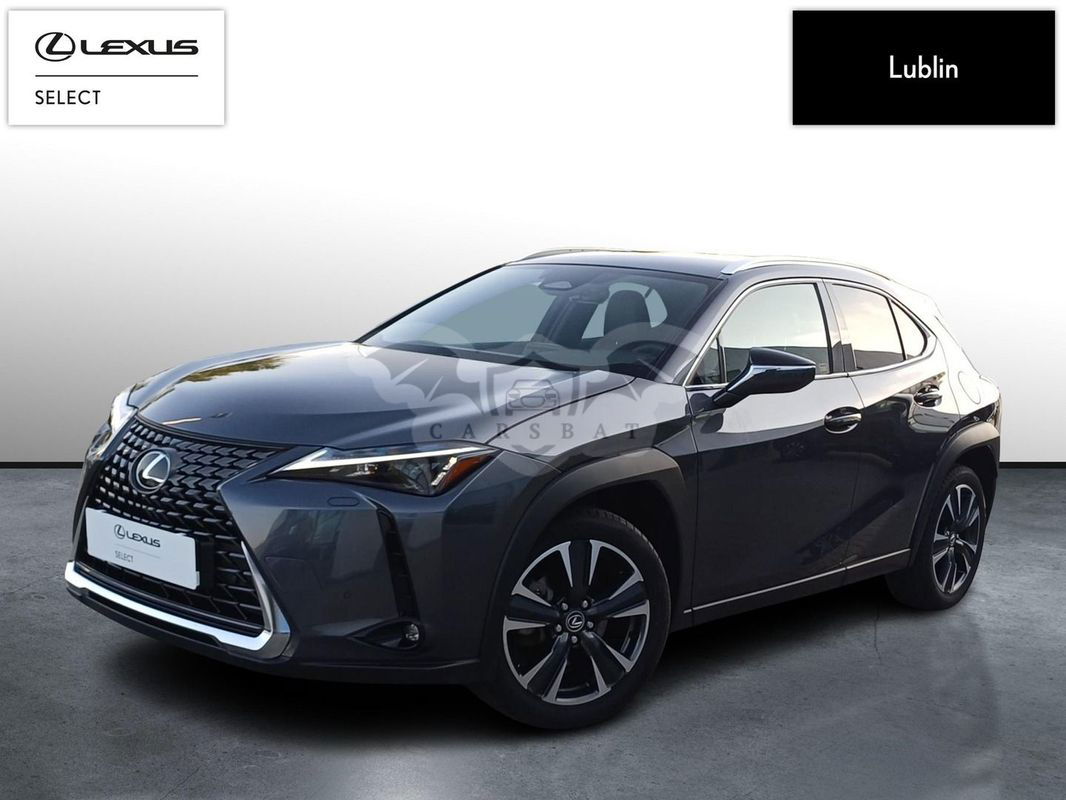 Lexus UX 300h Business 2024