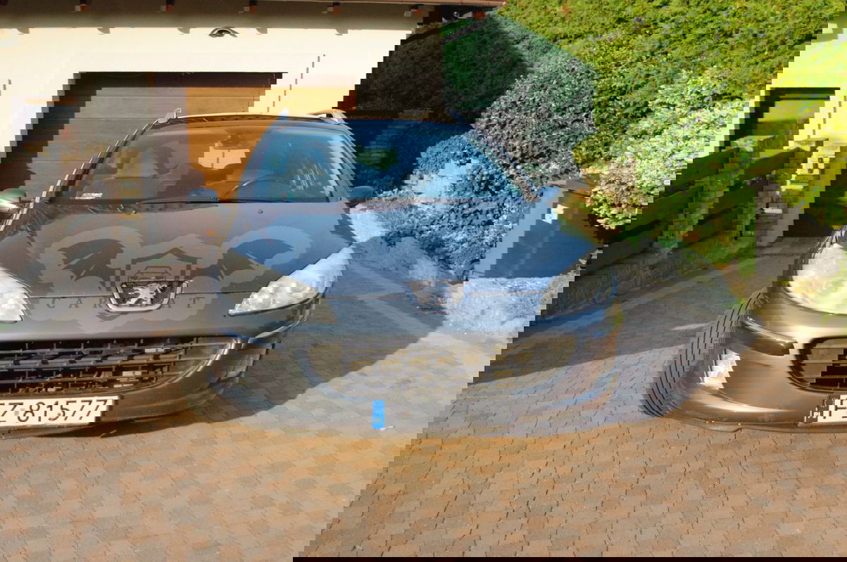 Peugeot 407 2004