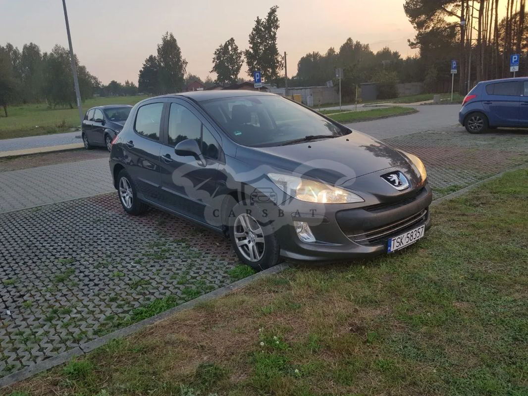 Peugeot 308 T7 1.4 Trendy 2010