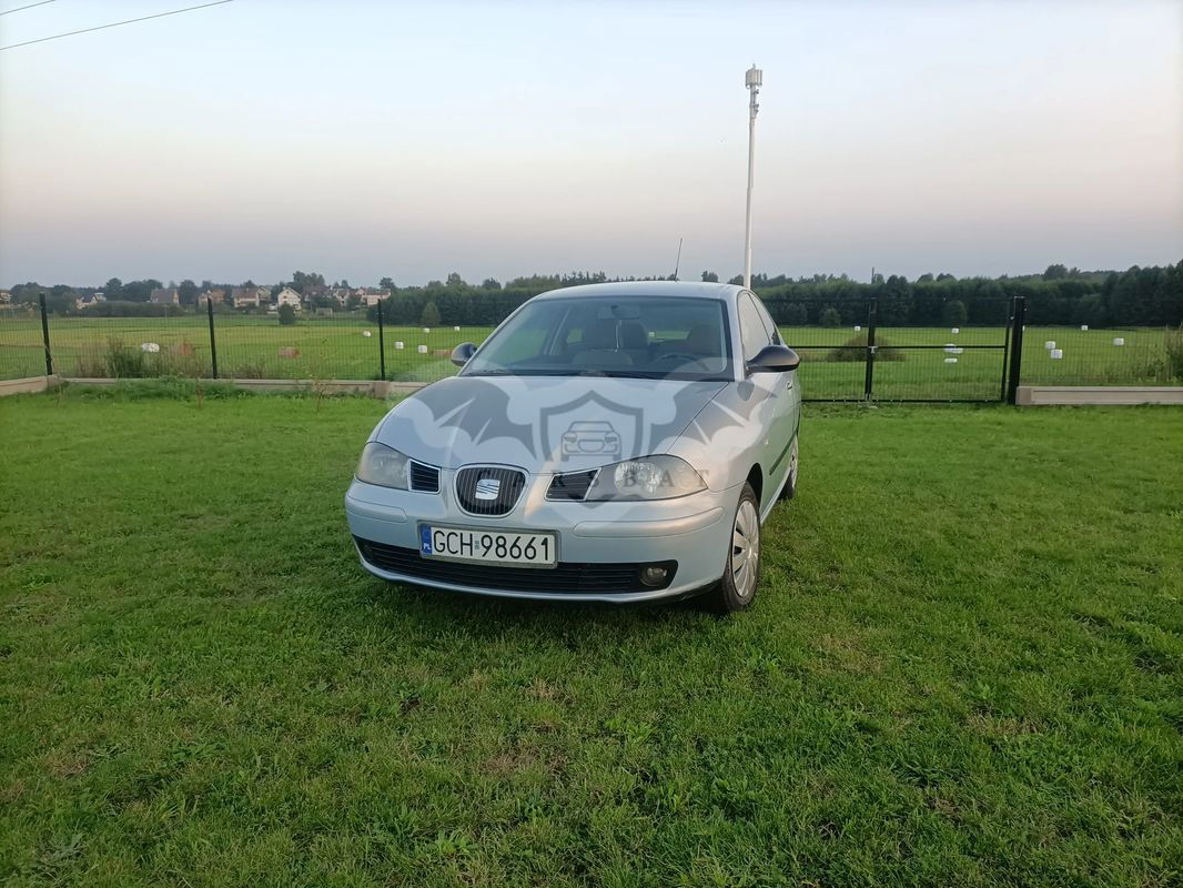 Seat Ibiza III 2004
